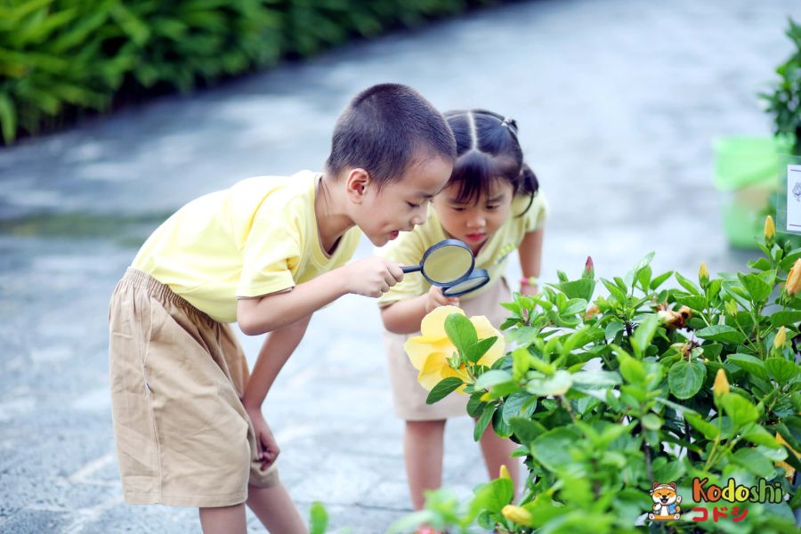 Giai đoạn bé rất hiếu động và phát triển