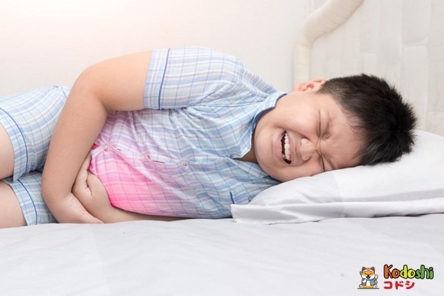 Rối loạn tiêu hoá ở trẻ gây ra khó chịu cho bé