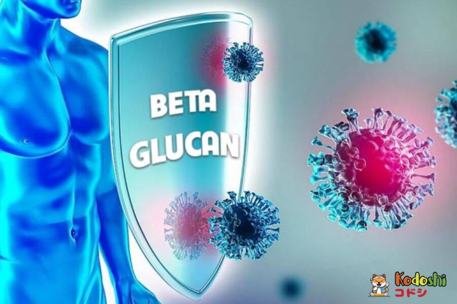 Cơ chế hoạt động của beta glucan