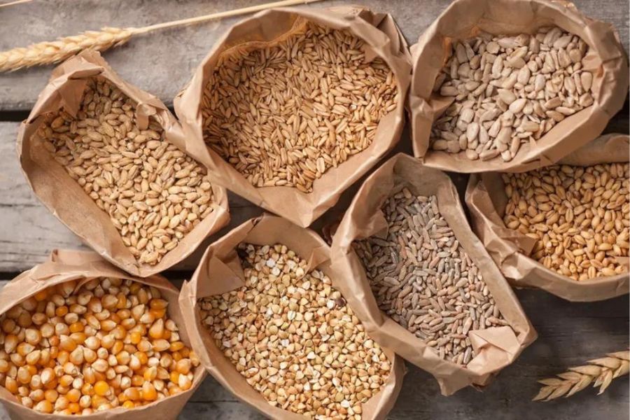Bổ sung đầy đủ beta-glucan giúp trẻ khoẻ mạnh, hạn chế bệnh tật