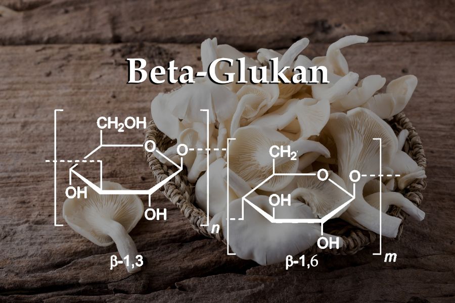 Beta-glucan có tác dụng gì đối với sức khoẻ miễn dịch của trẻ?