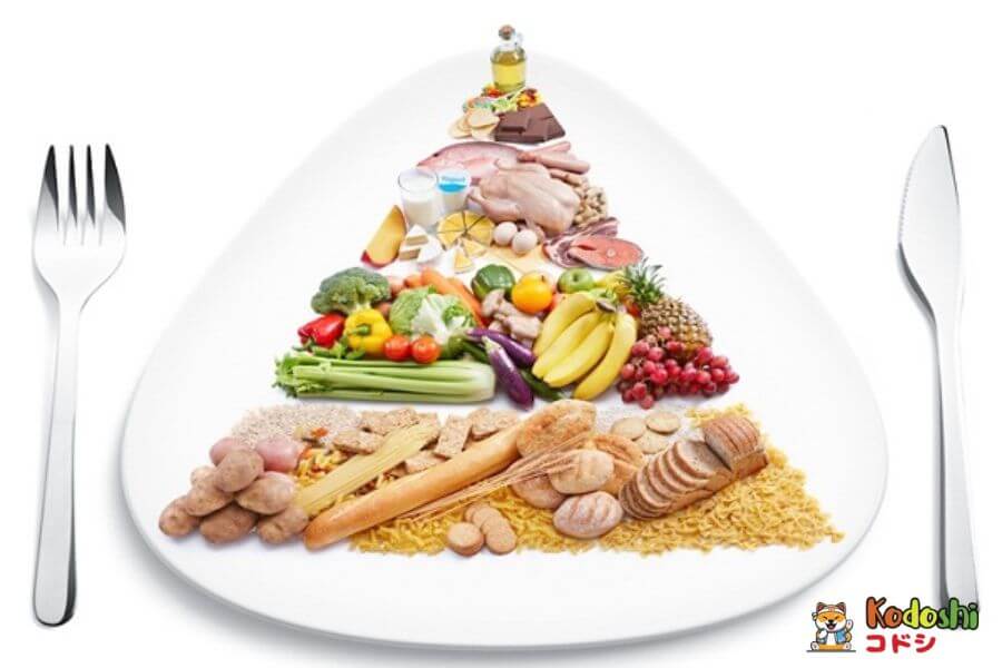 Tháp dinh dưỡng cho trẻ giúp bố mẹ xác định rõ định thực phẩm