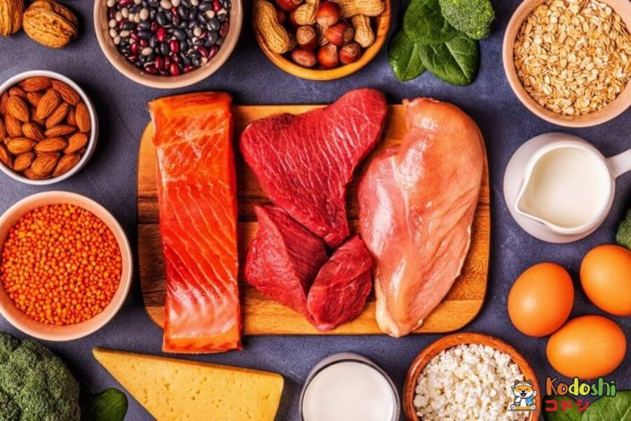 Bổ sung các thực phẩm giàu protein