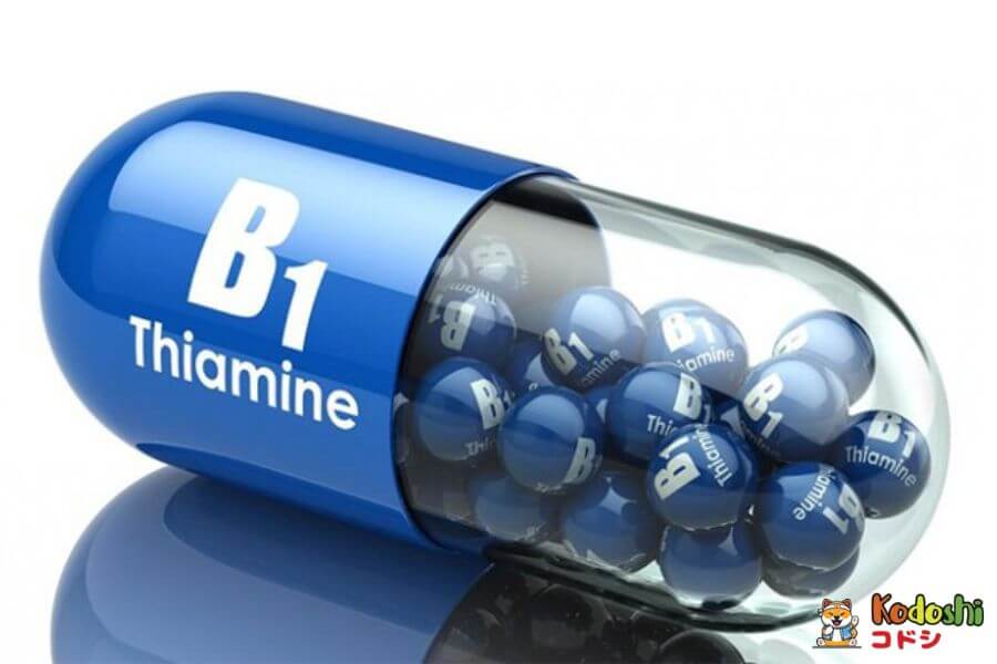 Các lượng vitamin B1 tan được trong nước