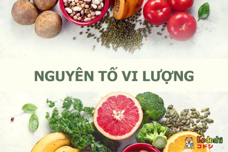 Nguyên tố vi lượng duy trì các chức năng của cơ thể