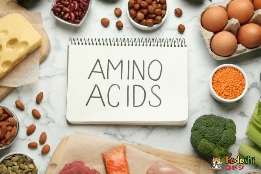 Axit amin đóng các vai trò cực quan trọng trong cơ thể