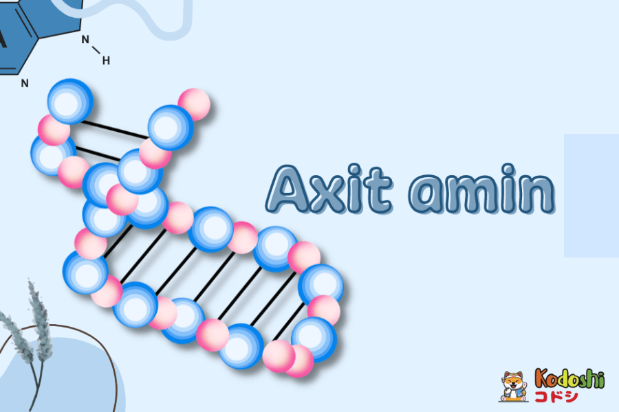 Tính chất vật lý và tính chất hoá học của acid amin