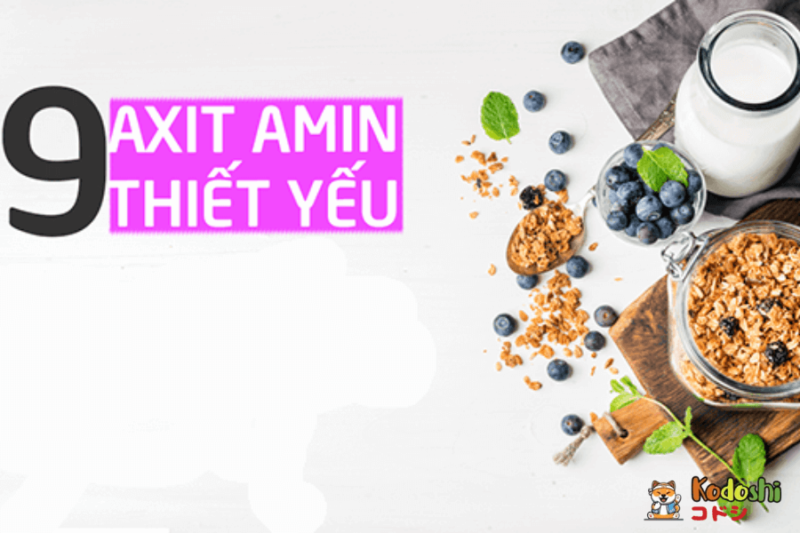 Tổng hợp 9 chất axit amin thiết yếu cho cơ thể
