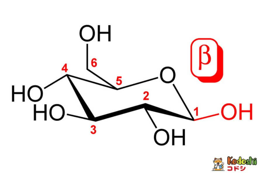 Beta Glucan là một hợp chất đường liên phân tử