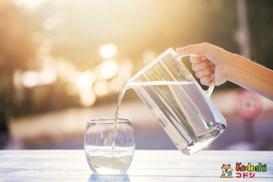 Uống nước giúp cơ thể loại bỏ những độc tố