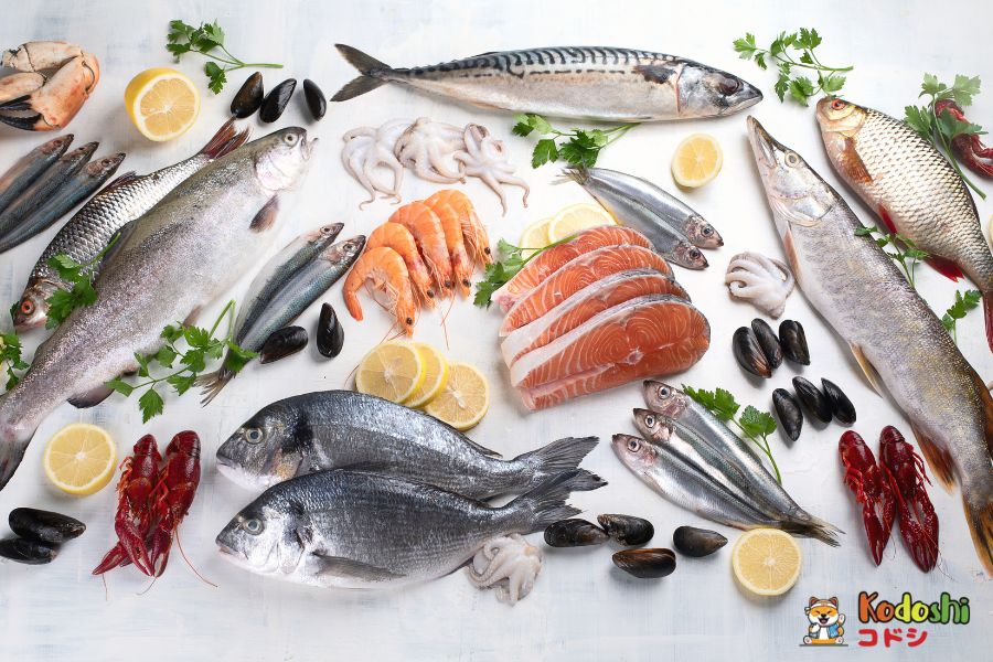 Các loại cá giúp tăng cường sức đề kháng