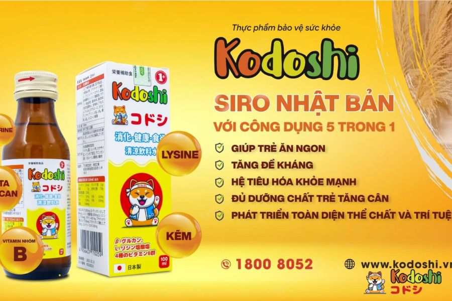 Sử dụng siro Kodoshi để ngăn ngừa rối loạn tiêu hoá